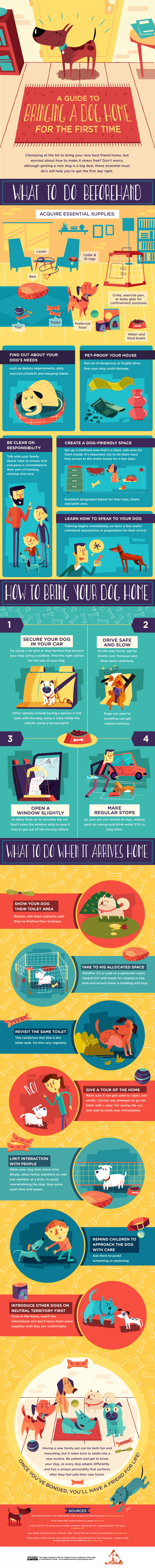 Infographic showing how to introduce your dog to their new home without causing any trauma