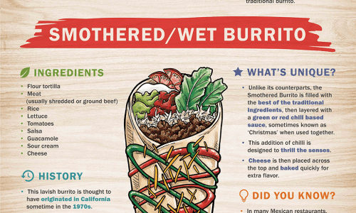 Infographic showing amazing types of burritos with all recipes and some interesting facts about them