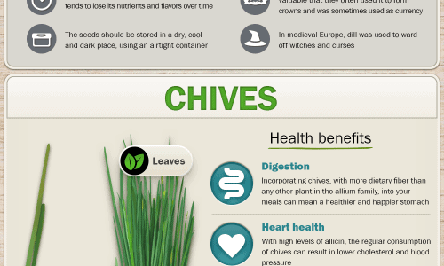 herbs improve healthp1