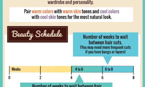 A guide to help decide your next hairstyle.