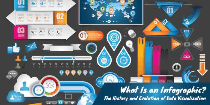 what is an infographic header