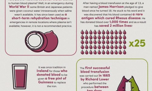 Infographic with 30 interesting facts about blood.