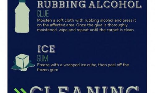 infographic describes How to remove any carpet stain