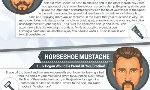 infographic describes How to grow and style your beard infographic
