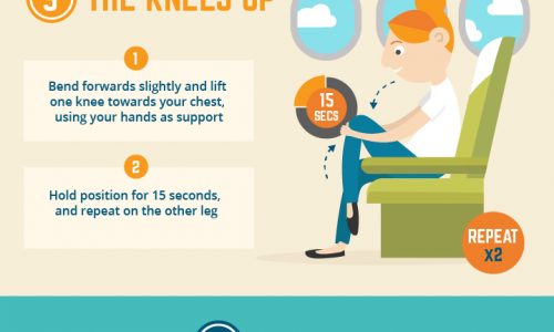 infographic describes how to stay healthy and comfortable on a long flight