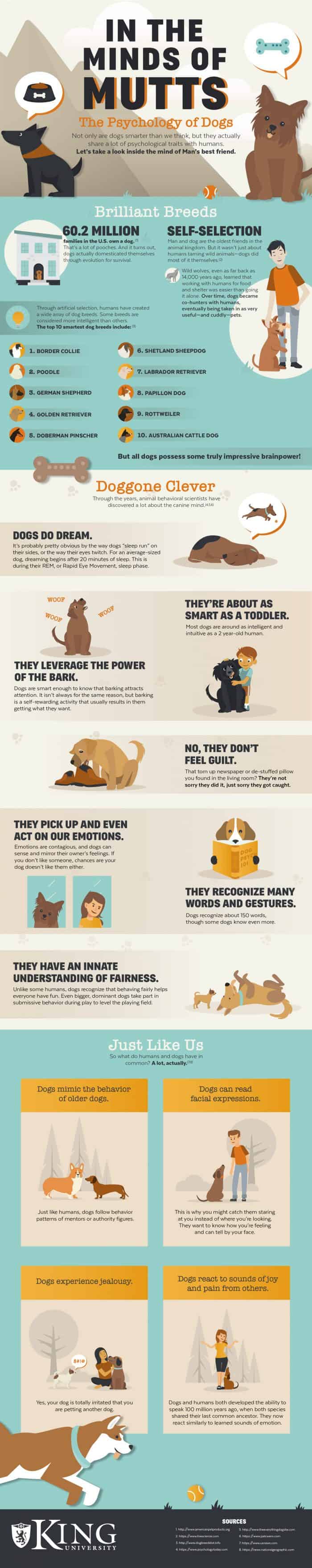 Psychology of Dogs