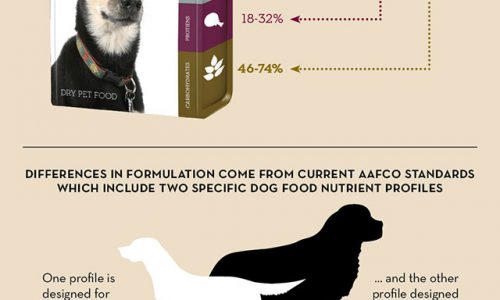 A guide to putting together a dog diet
