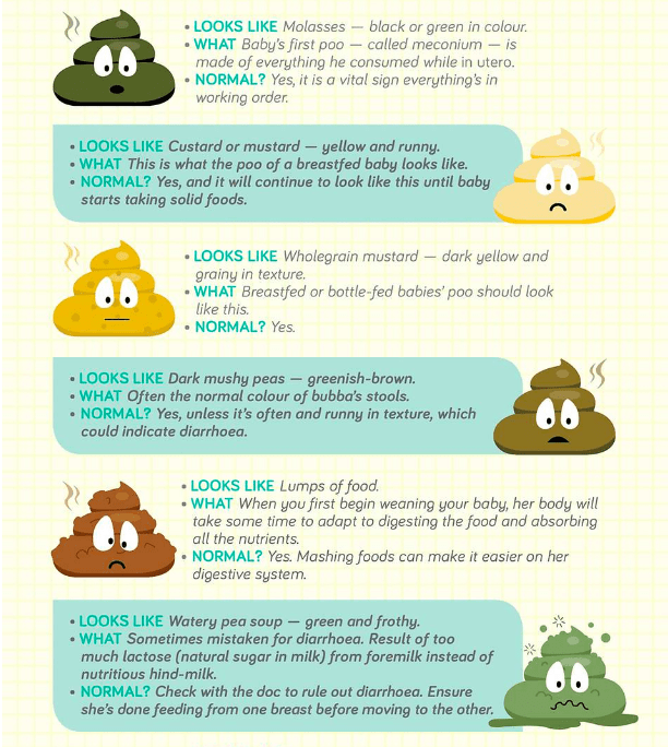 baby poop infographic