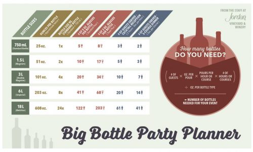 Wine Party Planning Infographic