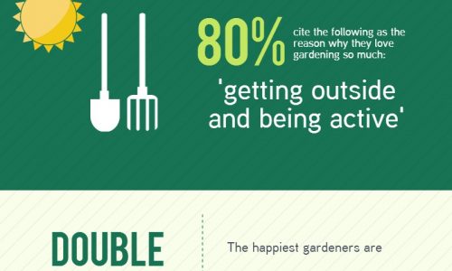 How a garden can improve your health and lifestyle