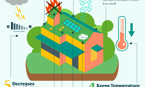 Showing why green roofs are beneficial for many different reasons