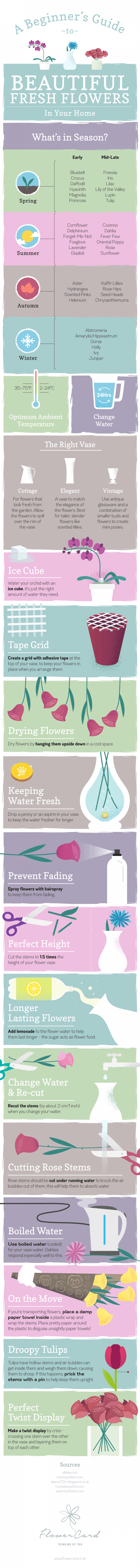 Tips on how to keep flowers in your home