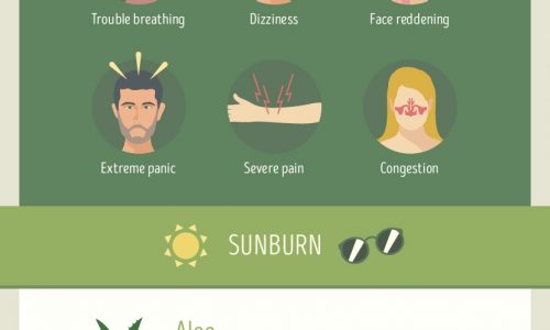 shows recipes for different kinds of ailments like bug bites and sunburn