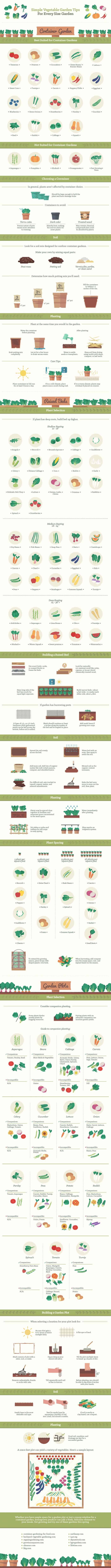 tips on how to grow different kinds of vegetables in gardens