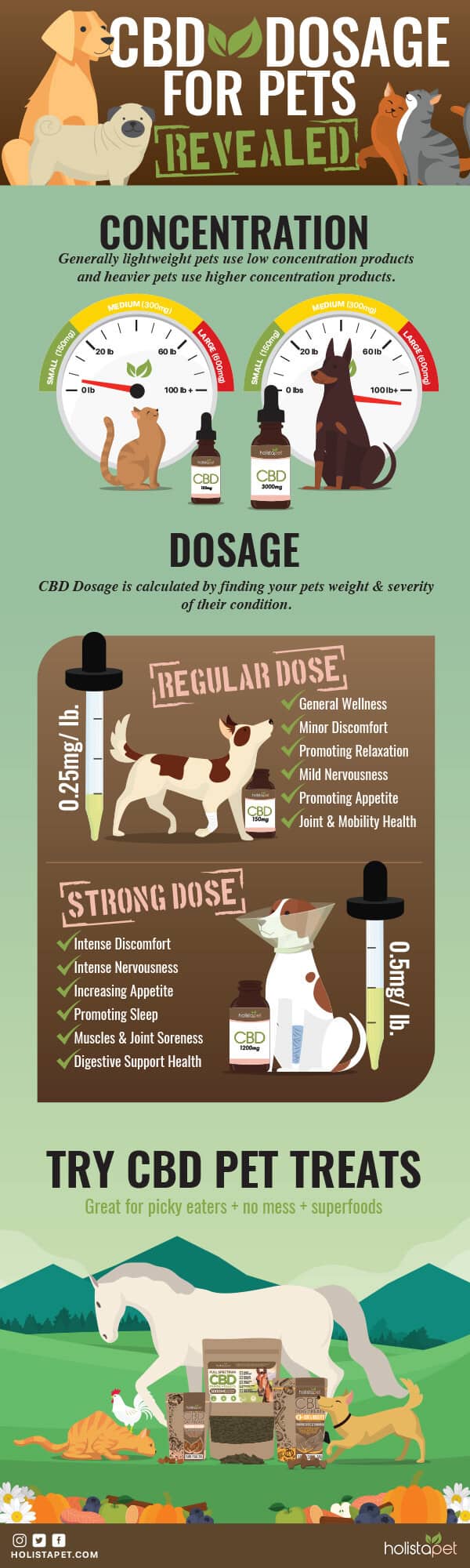 Here is a guide to proper CBD dosage for pets