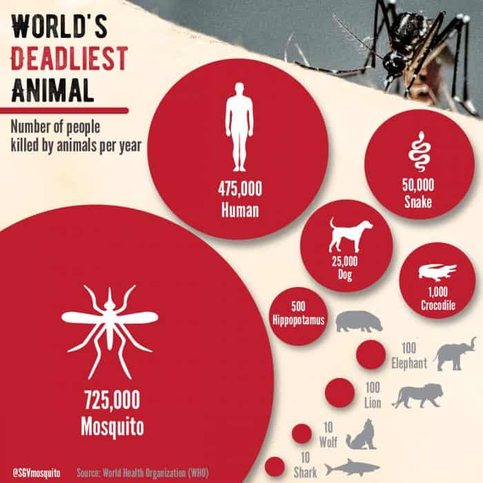 Worlds Deadliest Animals