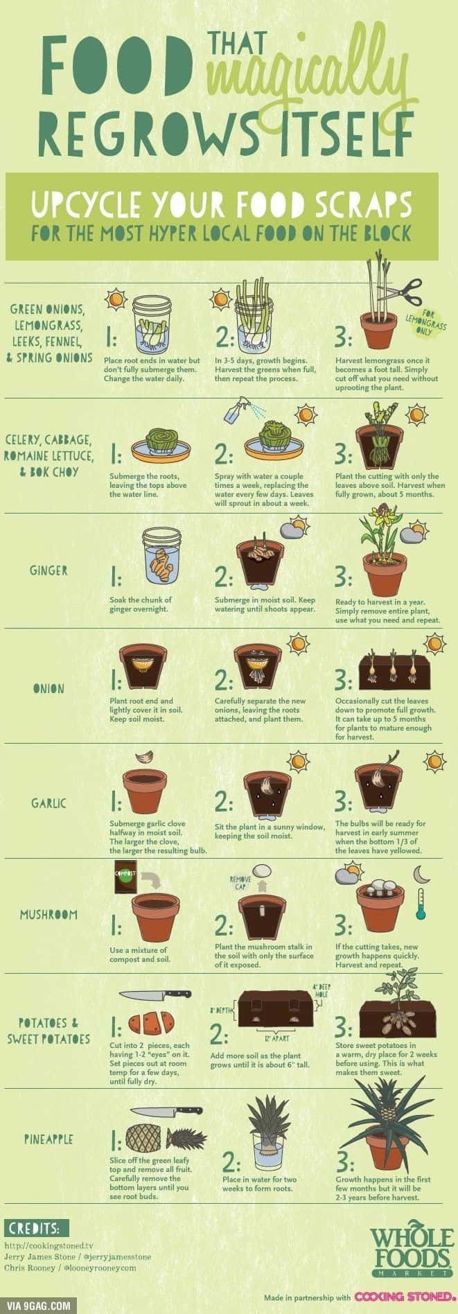 upcycle foods, chart that shows how to recycle foods
