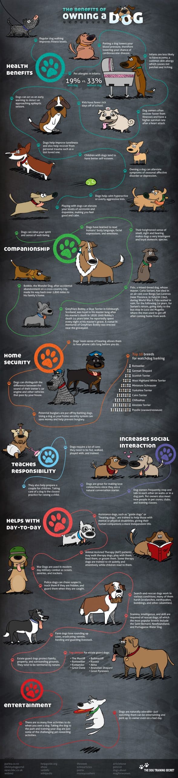 Benefits-Owning-Dog-Full-v2