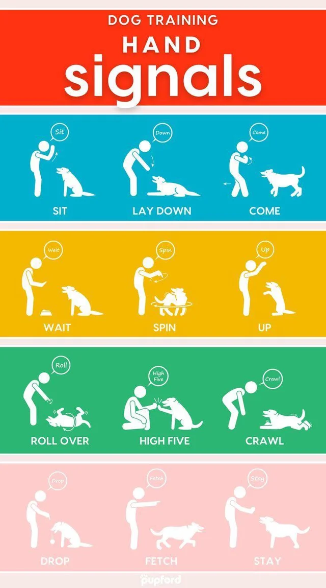 hand signals for dog training