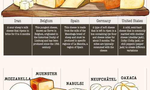 Types Of Cheese Around The World