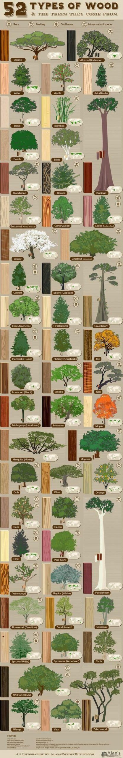 types of wood and the trees they come from