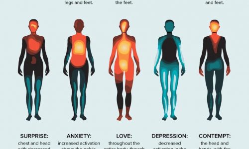 Where emotions are felt in the body