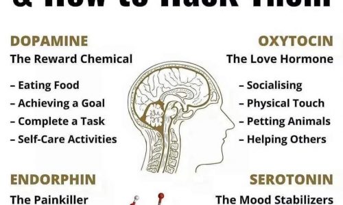 happiness chemicals and how to hack them