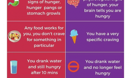 Stomach Hunger Vs Brain Hunger