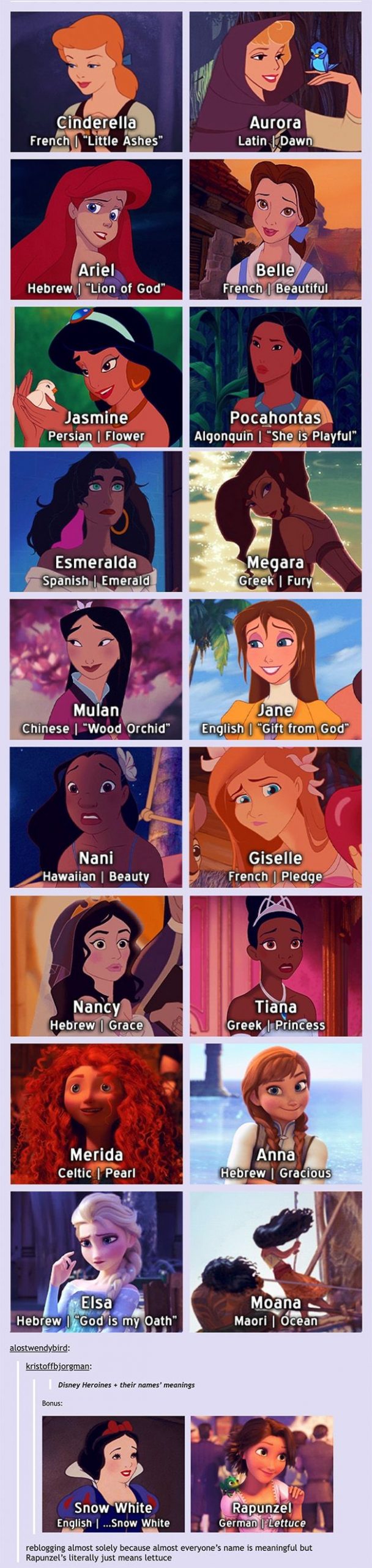 Disney princess names' language and meanings.