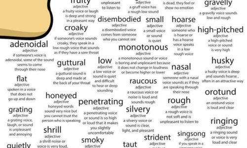 Words that describe someone's voice