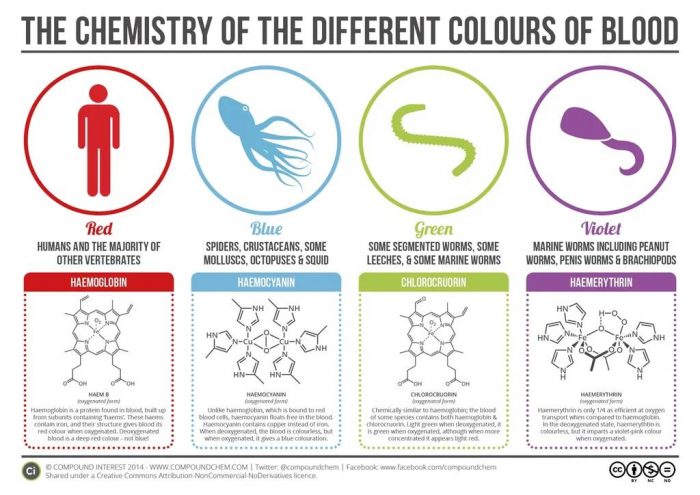 the chemistry of the different colors of blood