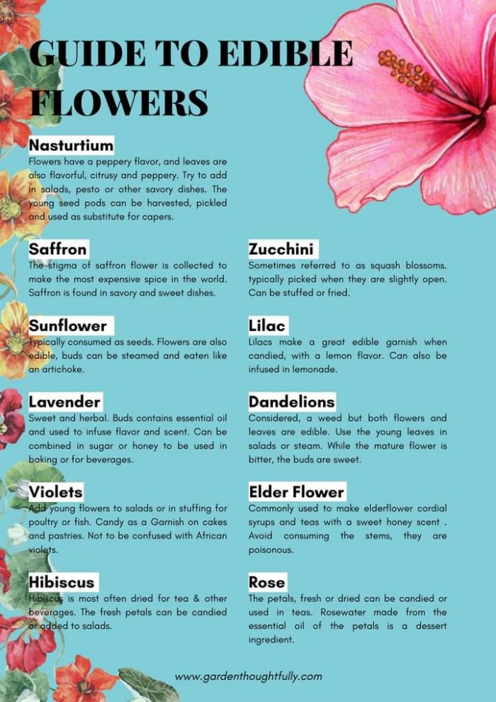 guide to edible flowers