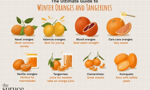 different types of oranges and tangerines