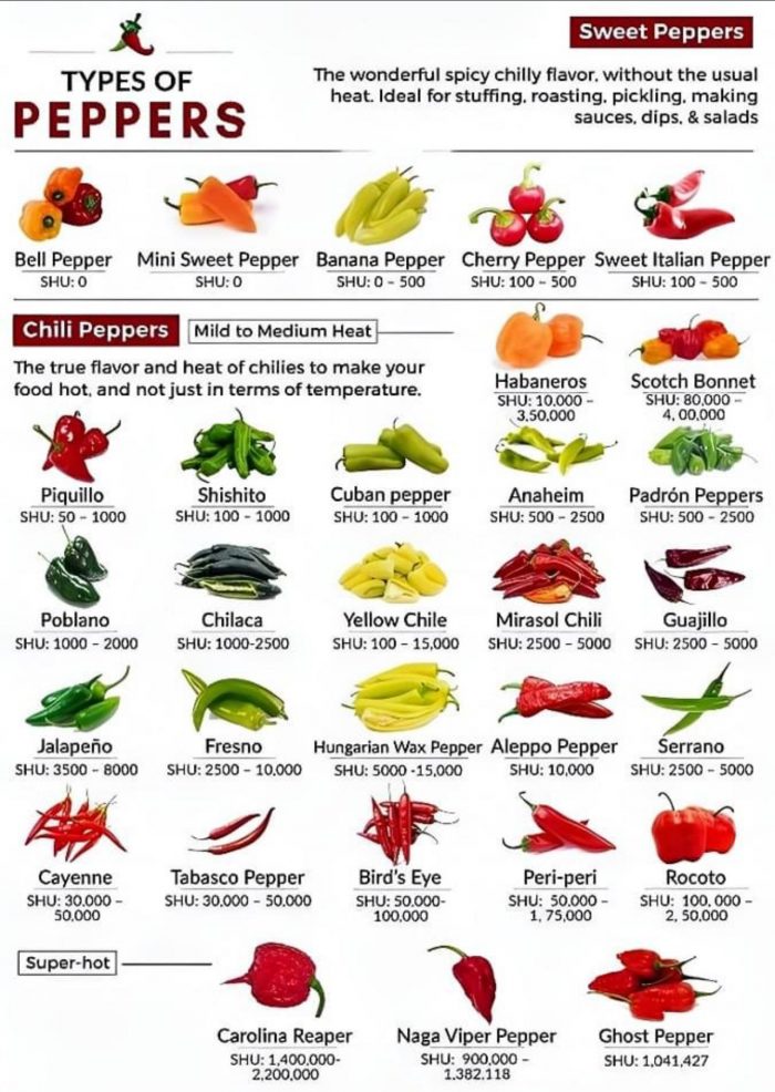 Types Of Peppers