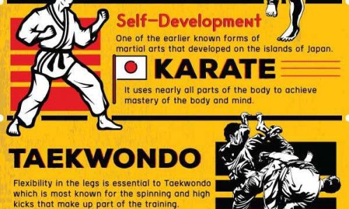 different types of martial arts