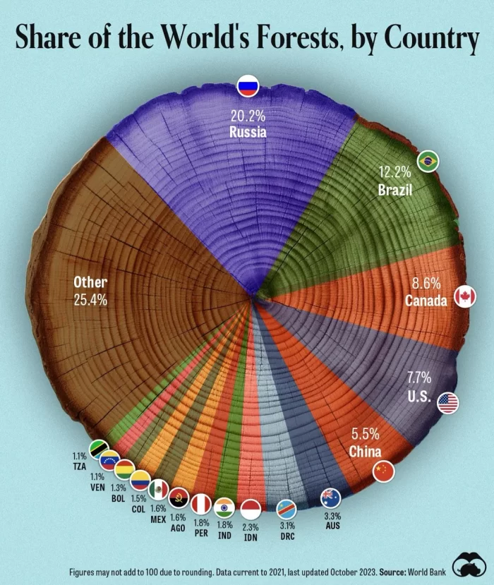 share of the worlds forest by country